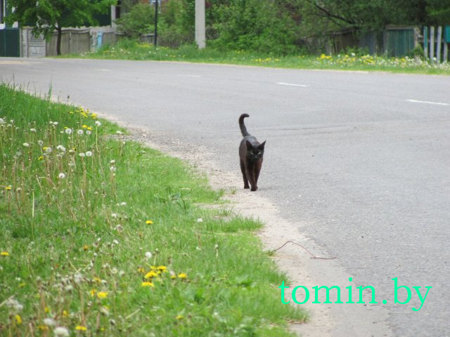 Дмитрий Гук. Мир природы. Фотовернисаж Дмитрий Гук. Мир природы. Фотовернисаж