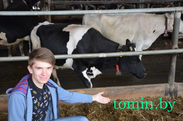 Дмитрий Гук. Мир природы. Фотовернисаж Дмитрий Гук. Мир природы. Фотовернисаж