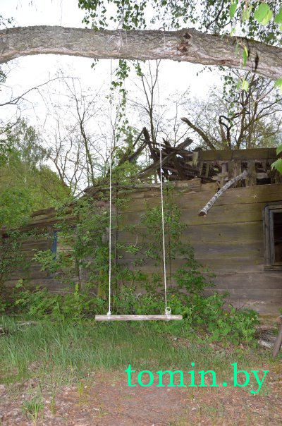 Дмитрий Гук. Мир природы. Фотовернисаж Дмитрий Гук. Мир природы. Фотовернисаж