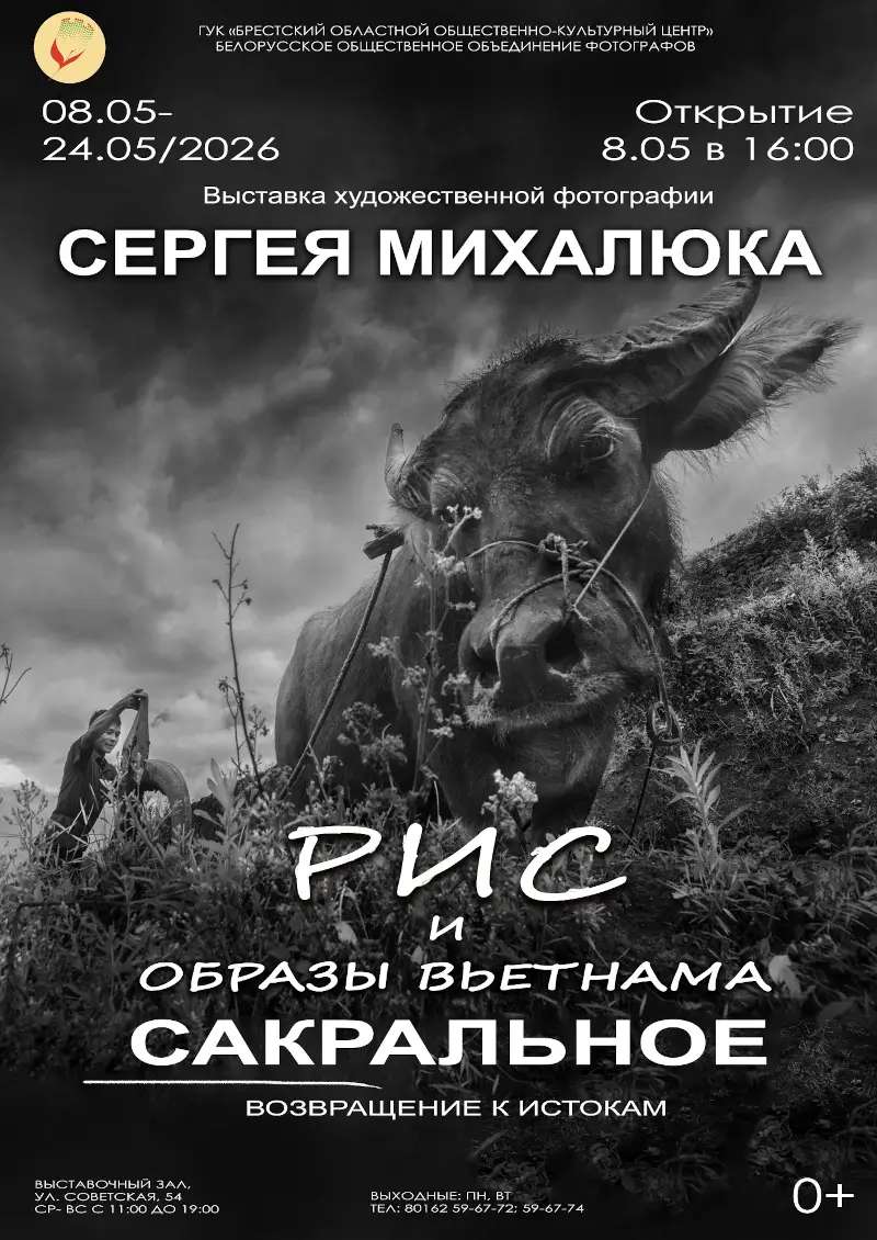 «Рис и образы Вьетнама»: уникальный фотоотчет о путешествии в Индокитай «Рис и образы Вьетнама»: уникальный фотоотчет о путешествии в Индокитай
