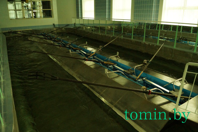 Гребной канал в Бресте. Фото Тамары ТИБОРОВСКОЙ Гребной канал в Бресте. Фото Тамары ТИБОРОВСКОЙ